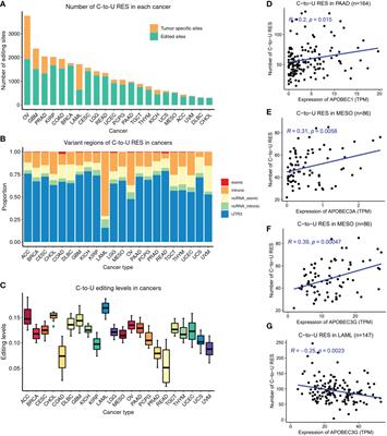 Pan-cancer investigation of C-to-U editing reveals its important role in cancer development and new targets for cancer treatment